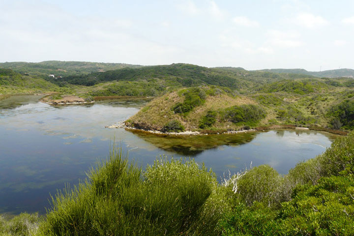 pescaturismomenorca.com excursiones en barco Albufera des Grau Menorca